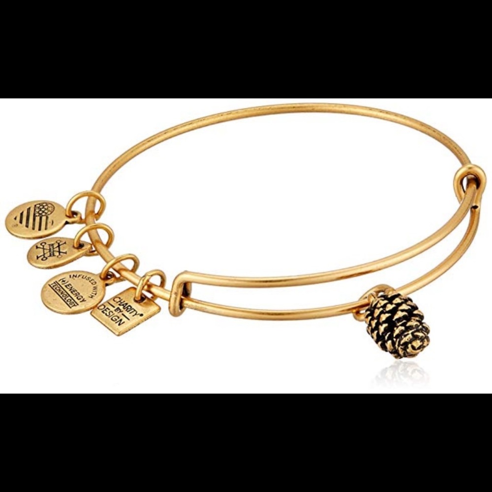 Pine Cone Alex and Ani